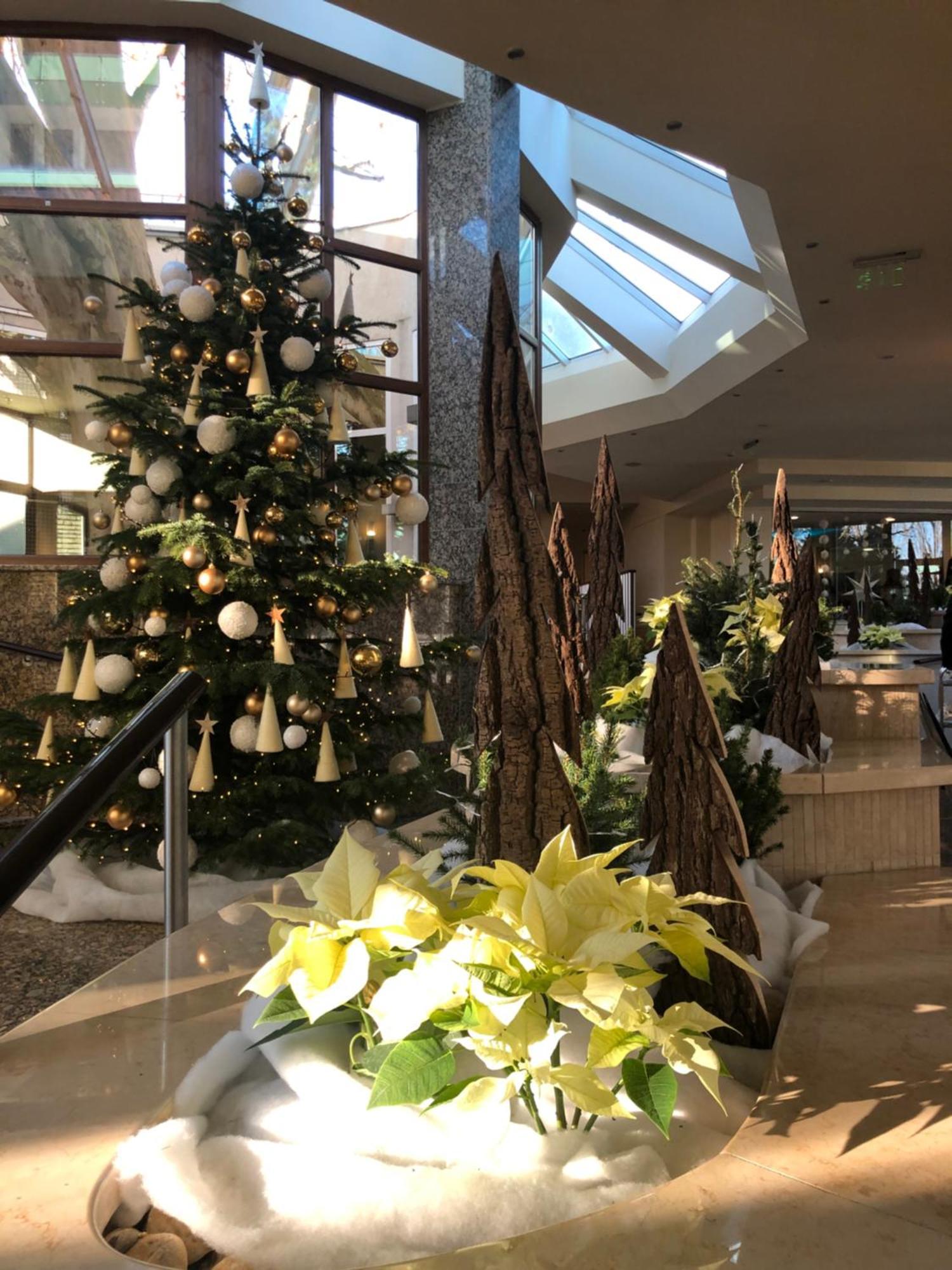 Spa Residence Carbona Apartman 104 ヘーヴィーズ エクステリア 写真